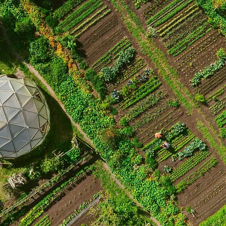 Areias Do Seixo Villa