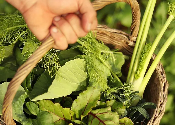 Areias Do Seixo Santa Cruz (Oeste)