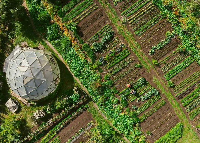 Areias Do Seixo Villa