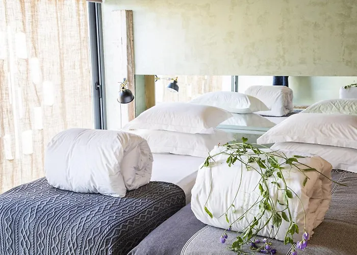 Areias Do Seixo Villa